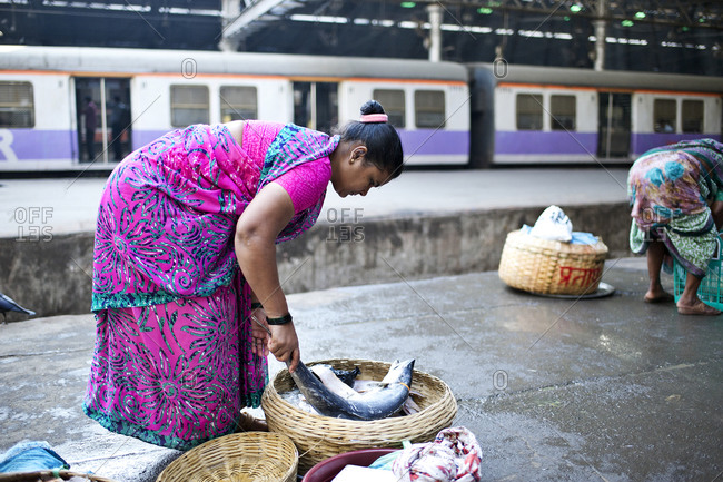Mumbai, India - February 6, 2015: Woman putting fresh fish in a basket