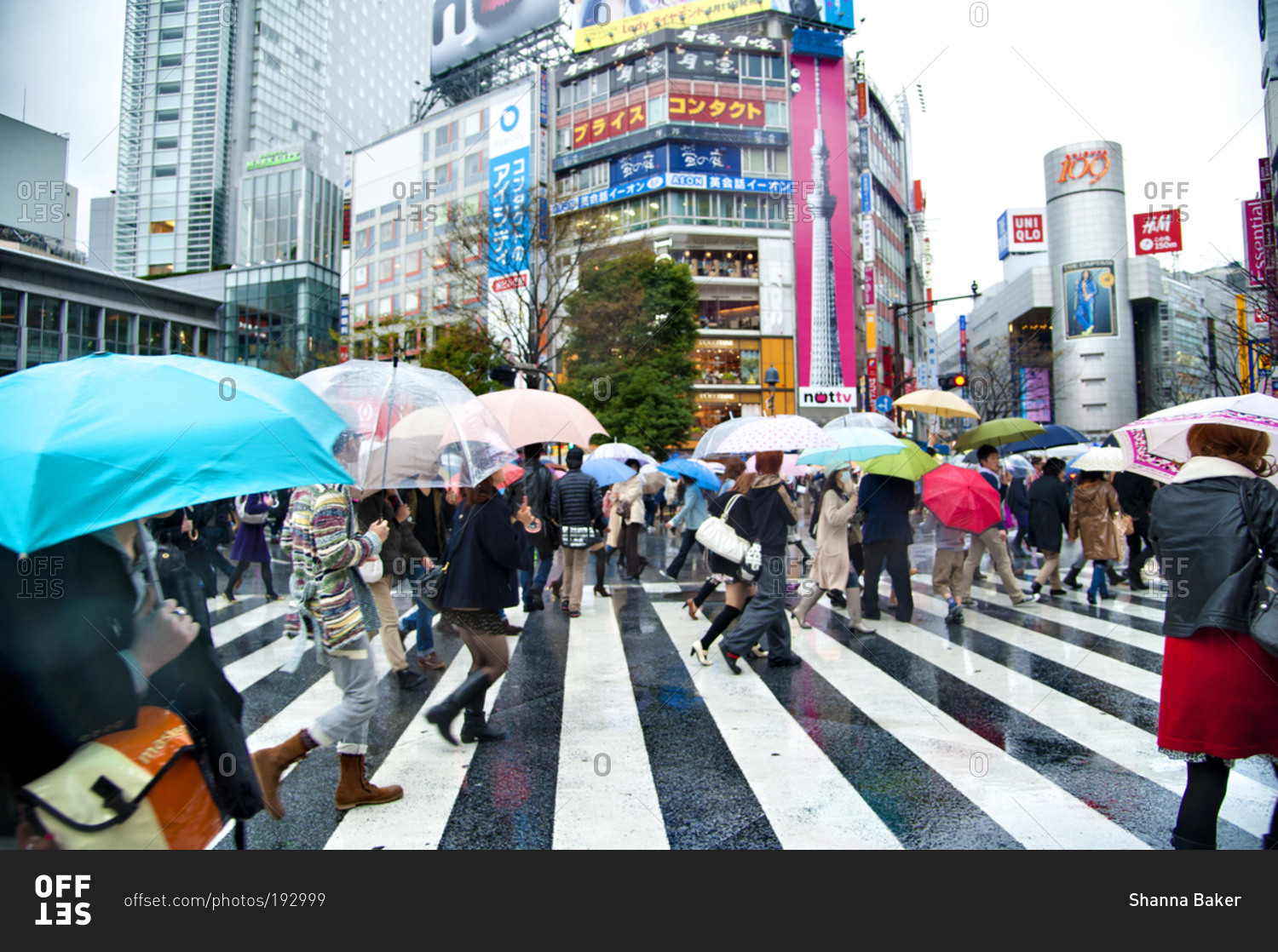 Rain day shibuya Stock Photos and Images