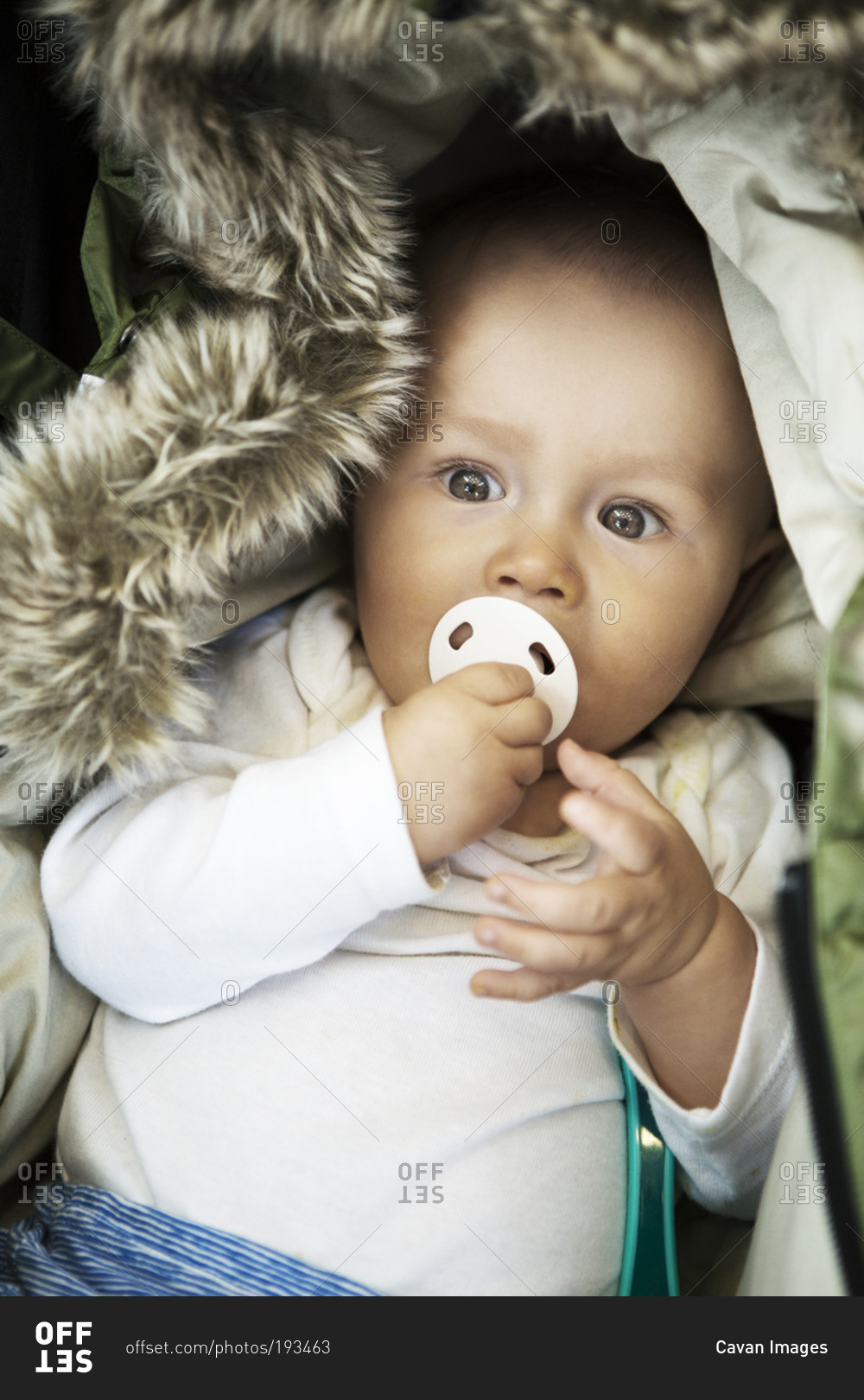 portrait-of-a-baby-boy-stock-photo-alamy