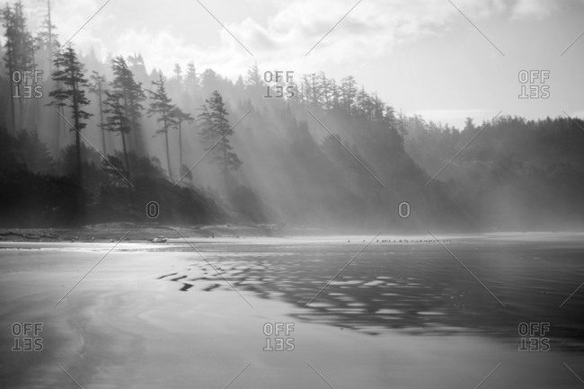 View of Ecola State Park, Oregon