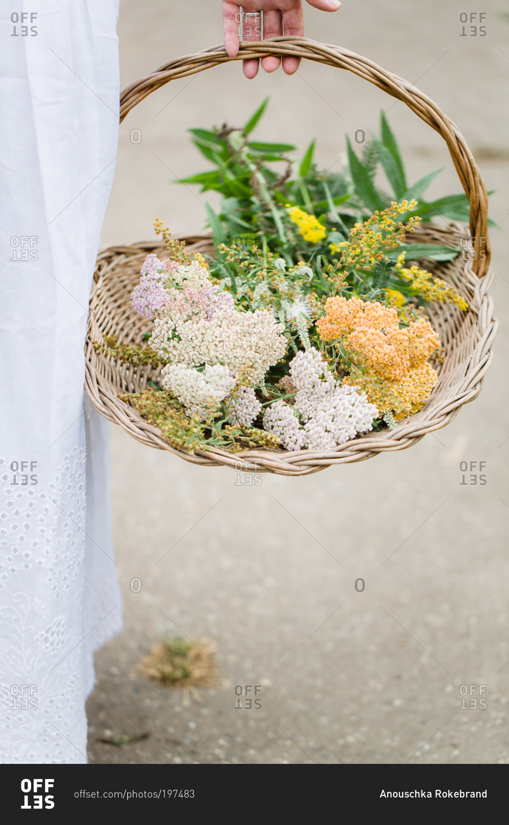 Woman holding a basket of fresh flowers