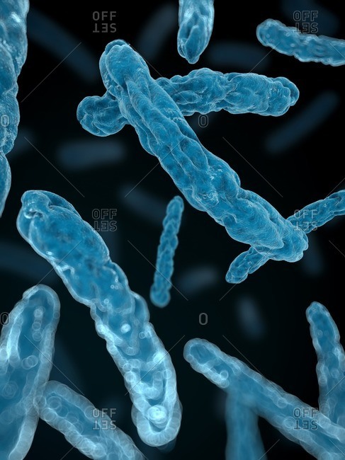 Illustration of blue bacteria - Offset