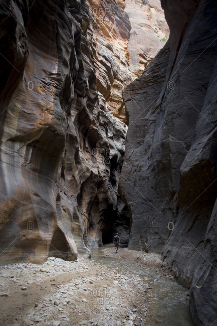 The Narrows in Zion National Park remains one of the most popular hikes