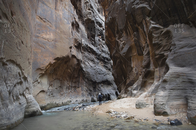The Narrows in Zion National Park remains one of the most popular hikes