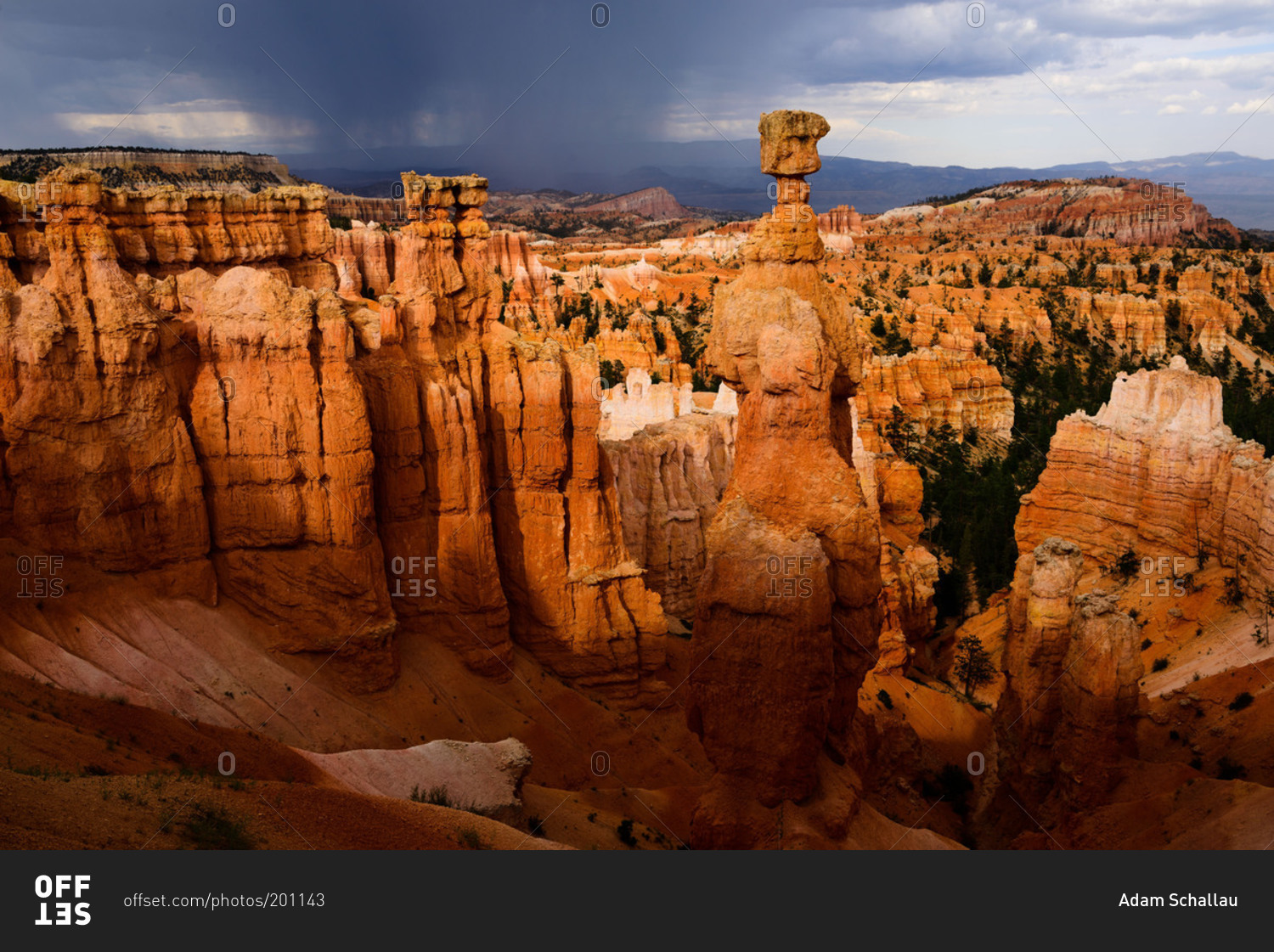 Thor's Hammer in Bryce Canyon National Park, Utah