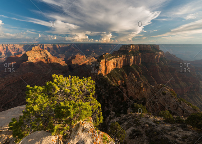 View towards Wotans Throne from Cape Royal on the North Rim of Grand Canyon National Park in Arizona