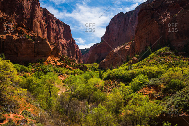 The South Fork of Taylor Creek at Kolob Canyons area of Zion National Park in Utah, USA