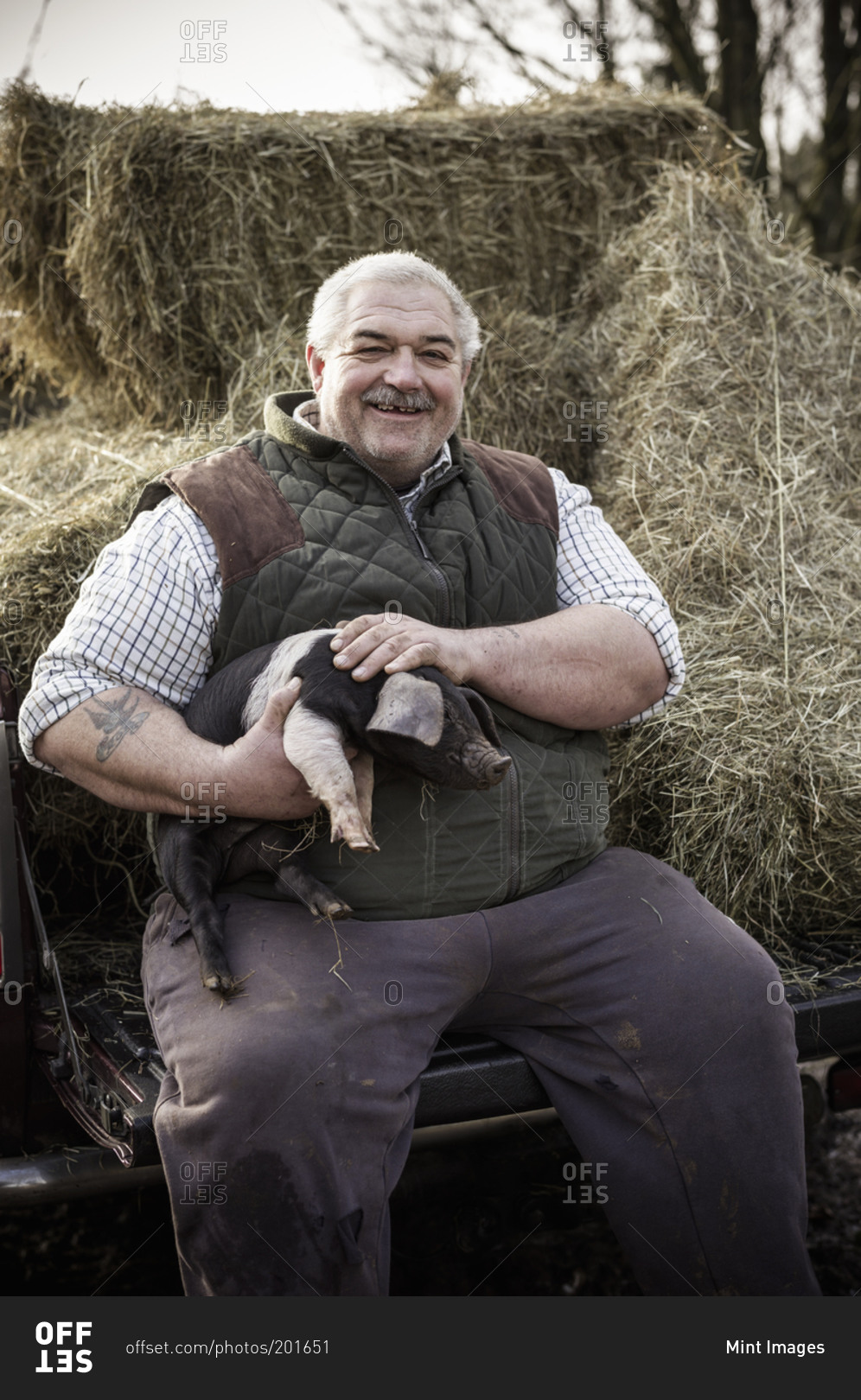 A large man, farmer in a waistcoat and working clothes, holding a piglet and smiling