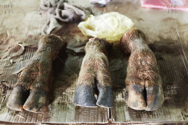 Furry hooves in Thai market