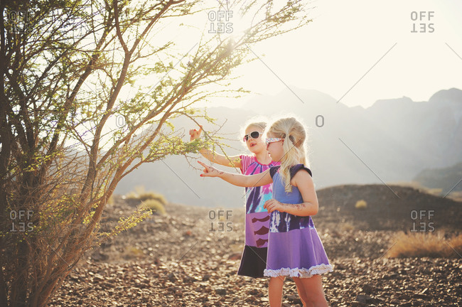 Two little girls examining a bush in a desert landscape