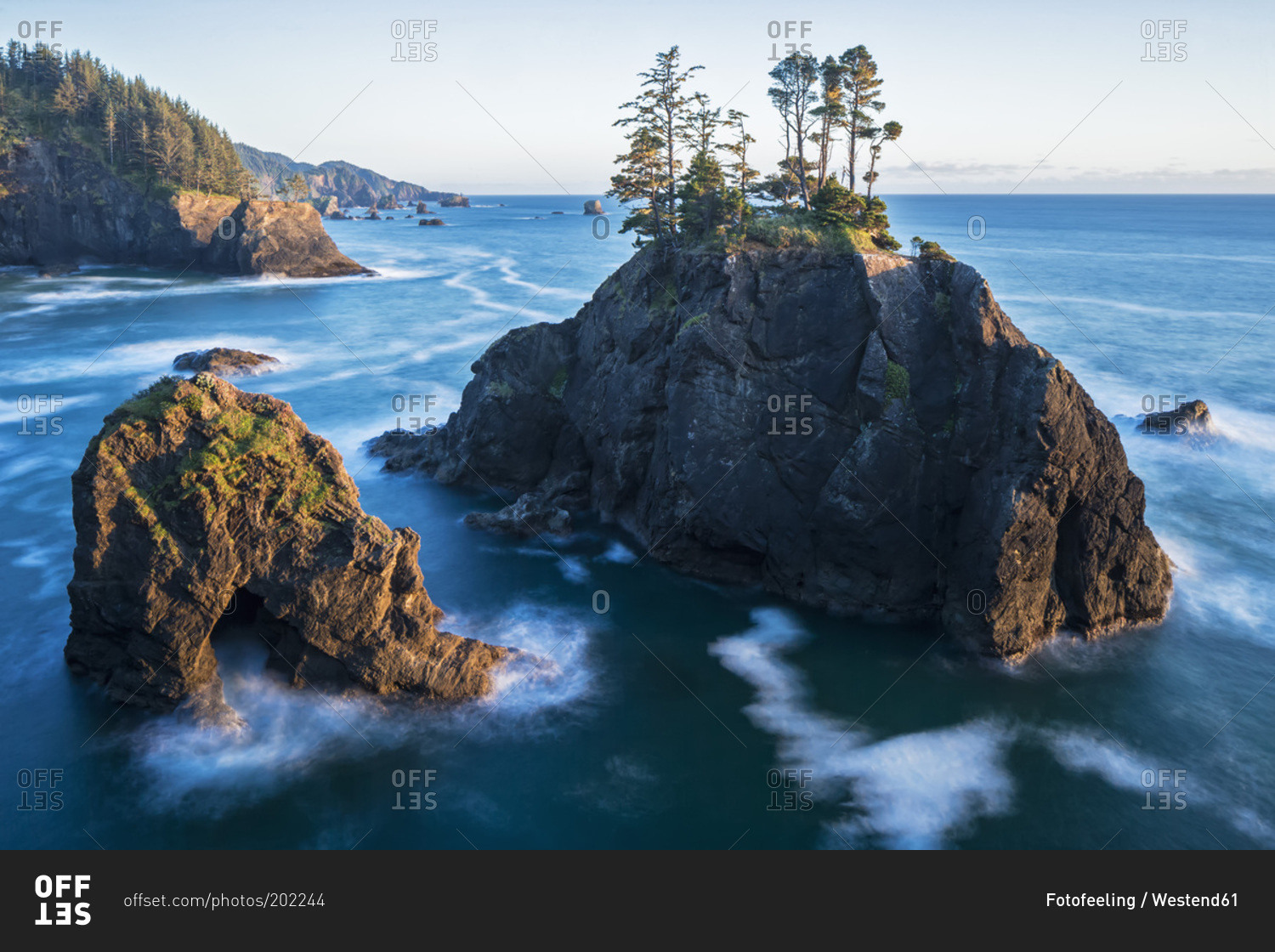 Insiders Guide Navigating Samuel H Boardman State Park Like A Pro - tpevnoc