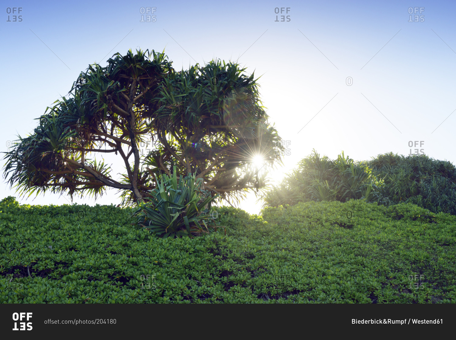 Landscape at Oheo Gulch in evening sun, Maui