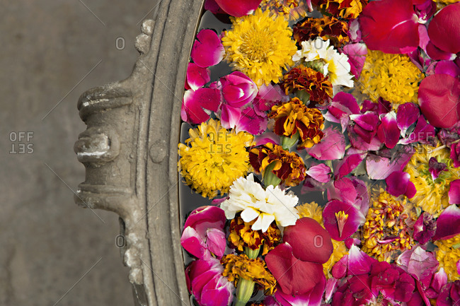 Various flowers floating in urn in India