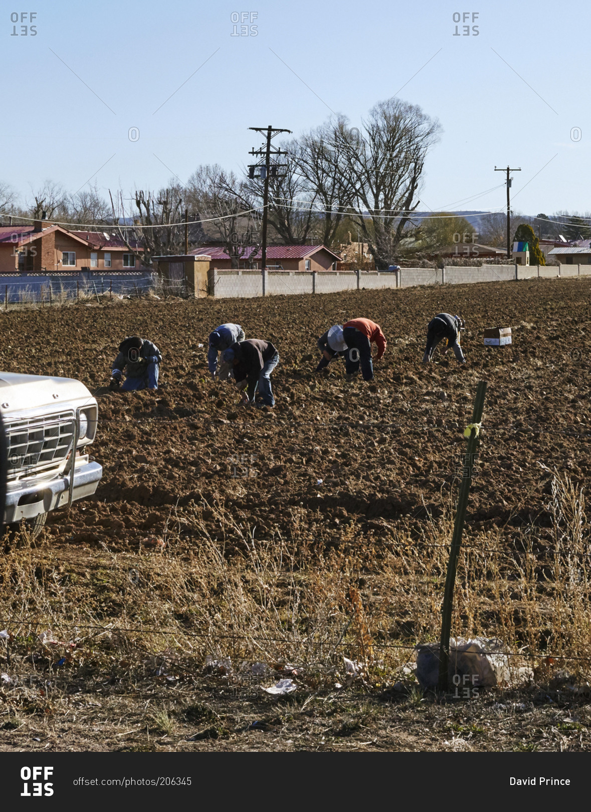 Farmhands working on an urban farm