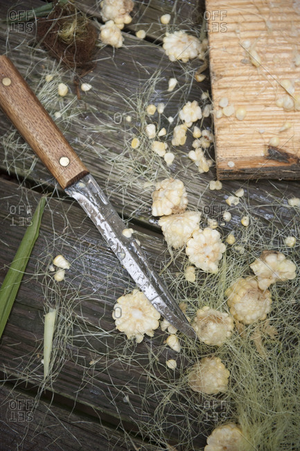 Leftovers of a corn on a wooden table