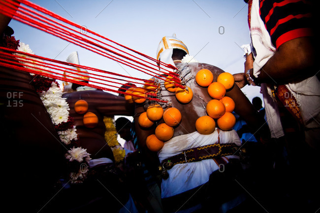 A man pulls on his kavadi hook