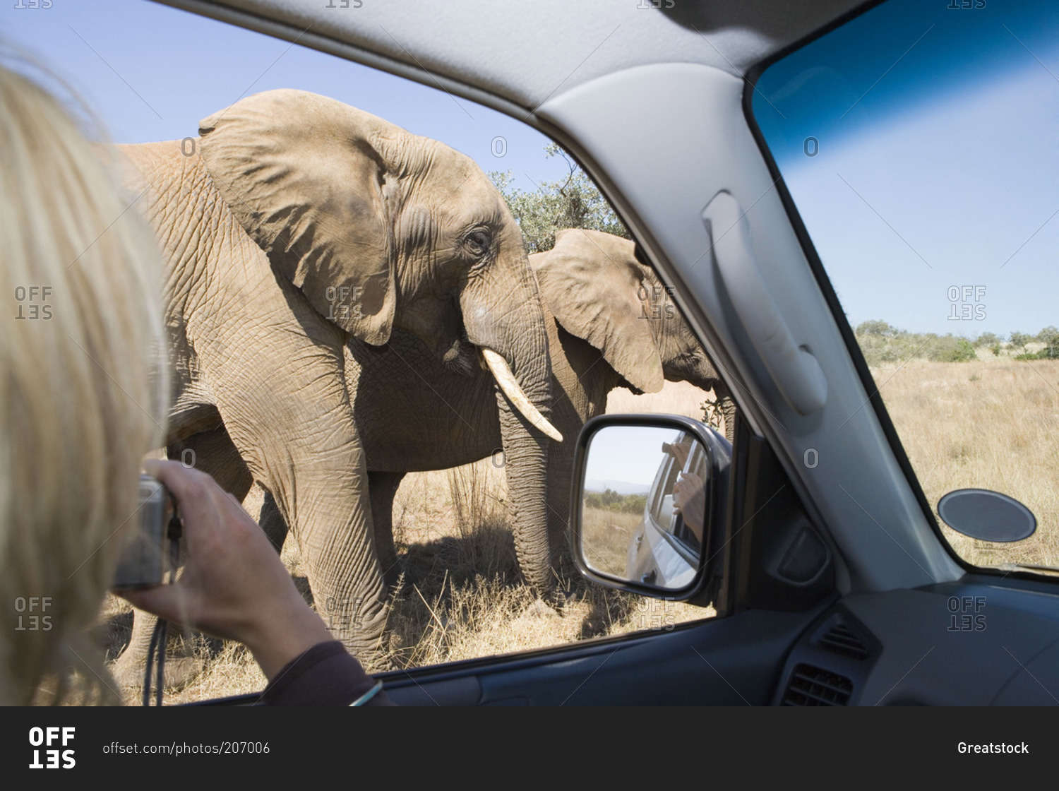 Woman photographing elephants on a safari