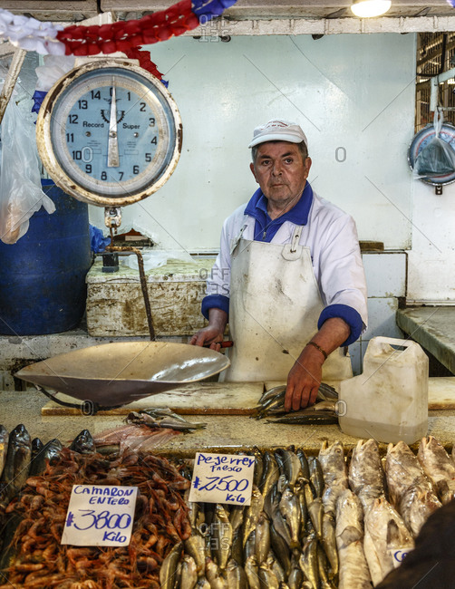Santiago, Chile - September 24, 2014: Fish stall at Mercado Central, Santiago, Chile