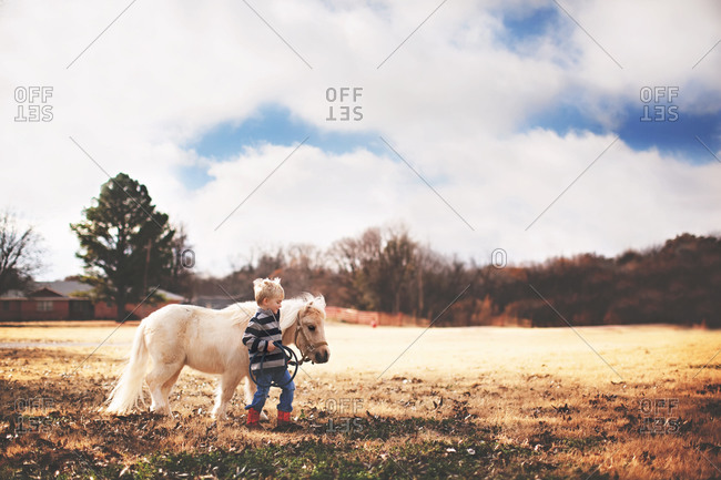 Boy walking with a pony in a field