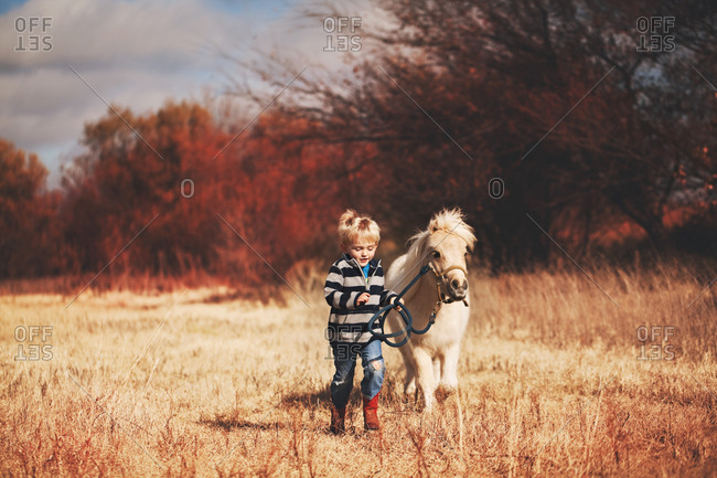 Boy leading a miniature horse in a field