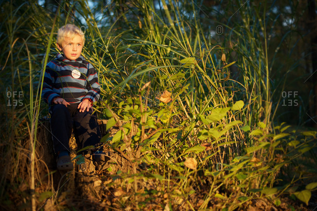 A little boy sits in tall grasses watching the sun set