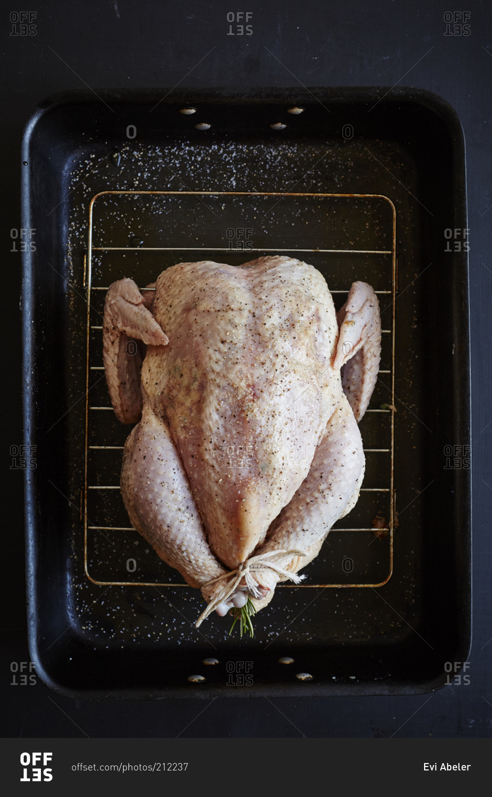 Raw chicken on roasting pan, seasoned, tied