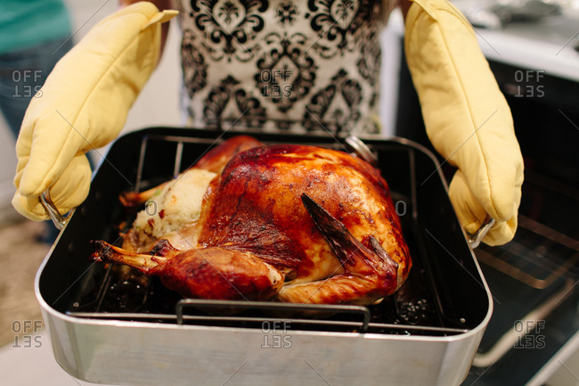 Person holding cooked Thanksgiving turkey in roasting pan