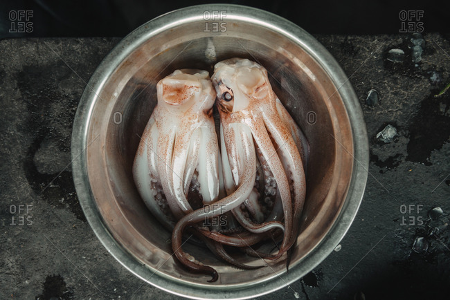 Two raw squid - Offset Collection