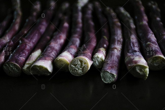 Studio shot of purple asparagus