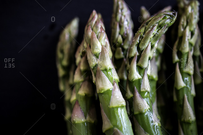 Close up of fresh asparagus stems