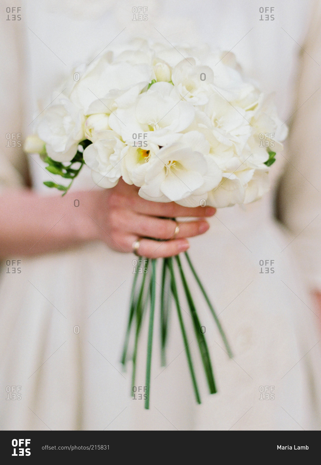 Bride holding a white wedding bouquet in her hands
