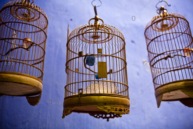 2,900+ Hanging Bird Cage Stock Photos, Pictures & Royalty-Free