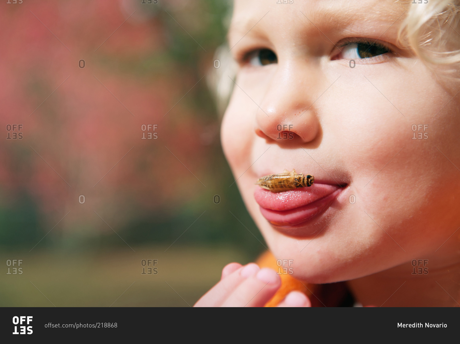 Young child holding a cricket on tongue