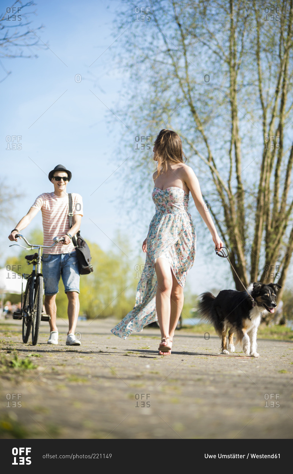 Young couple walking with dog outdoors in summer