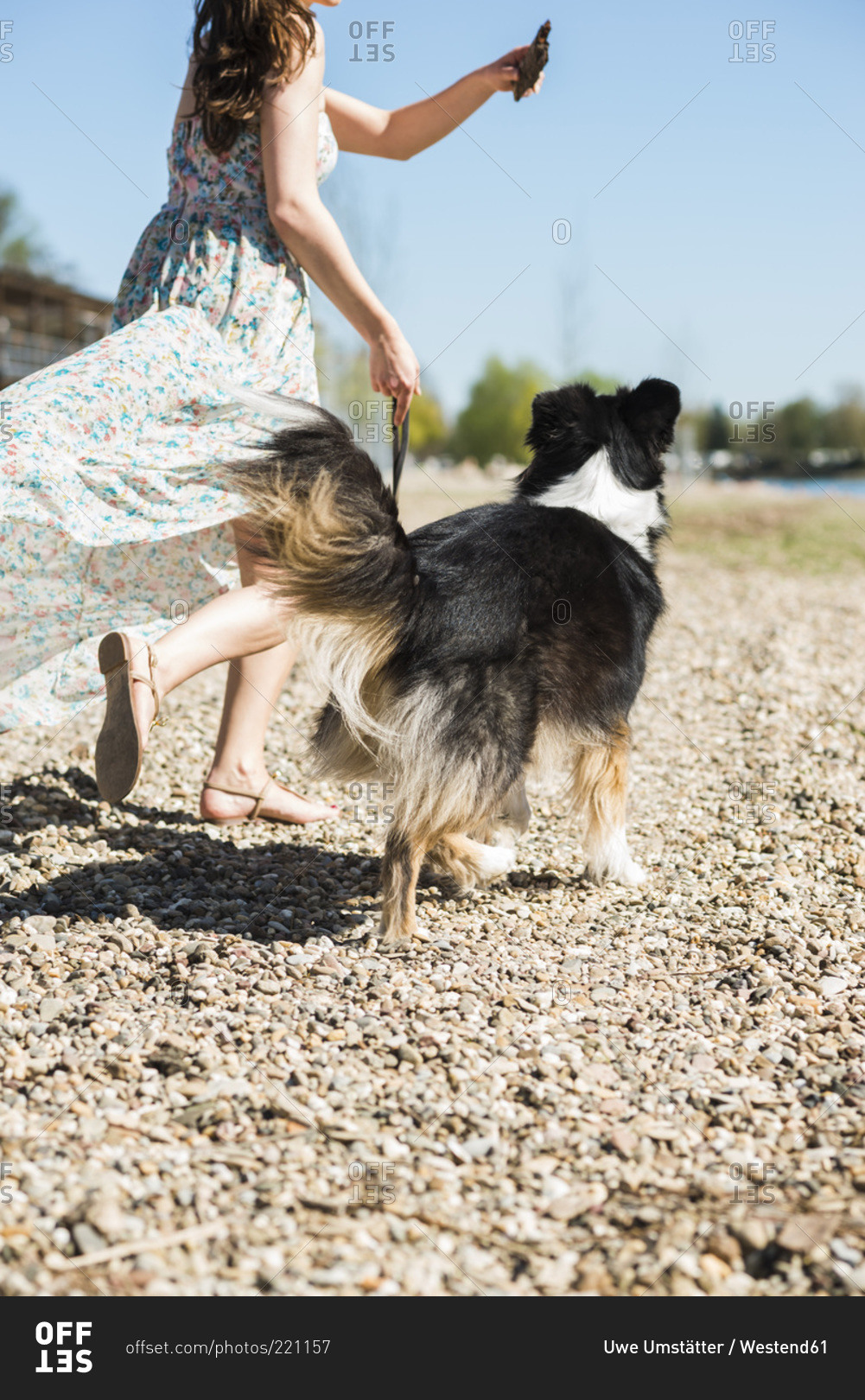 Woman walking with dog outdoors in summer