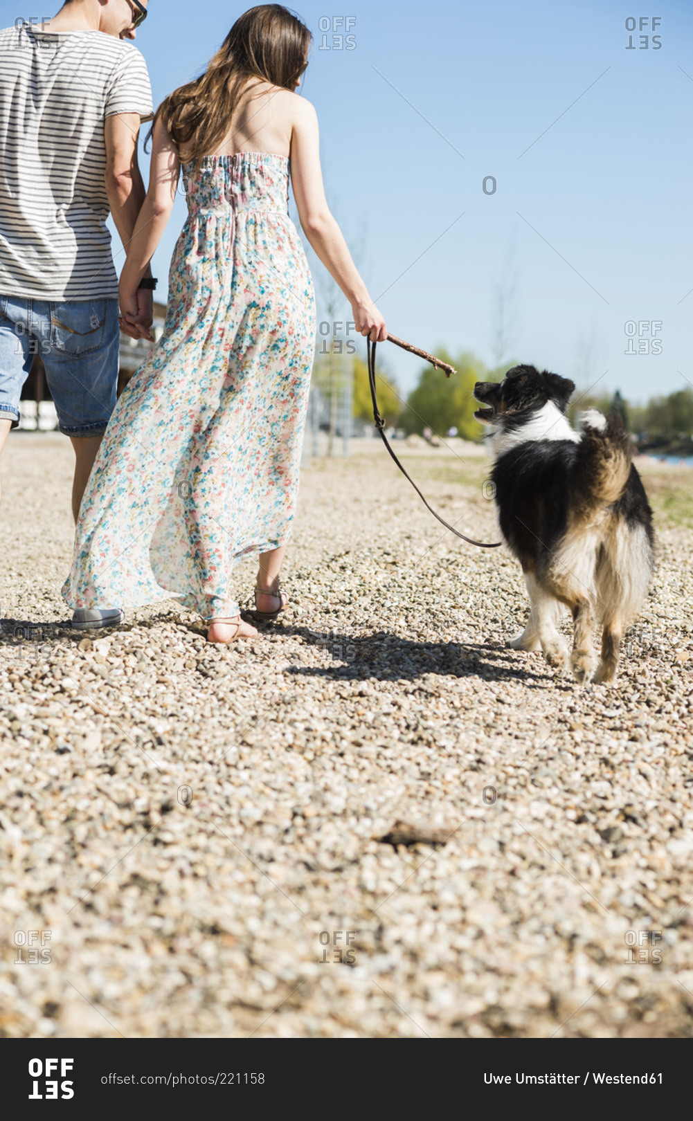 Young couple walking with dog outdoors in summer