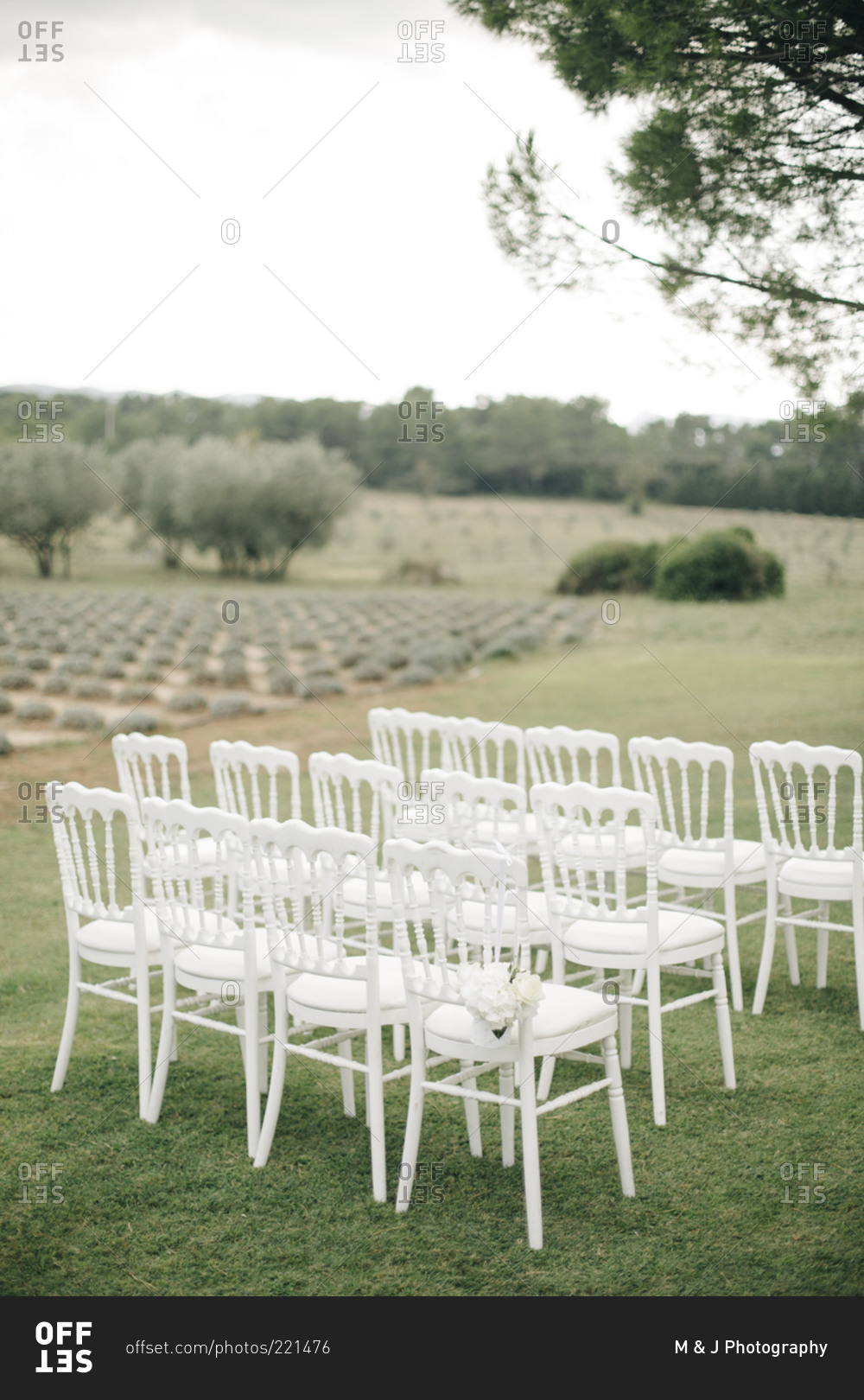 Chairs set up for wedding on a farm