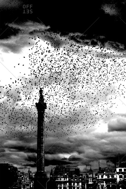 Flock of birds flying over a statue