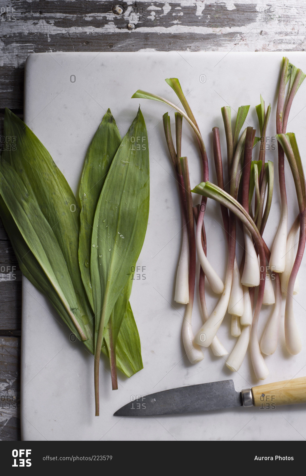 Ramps, perennial wild onions that grow in early spring, on a marble