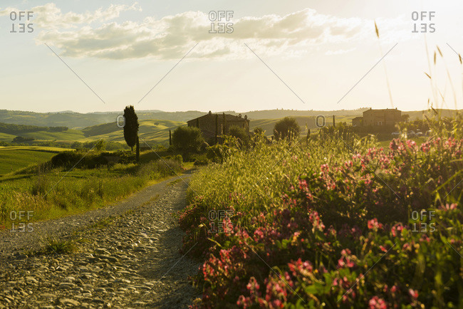 Tuscan landscape near San Quirico d`Orcia, Siena, Tuscany, Italy