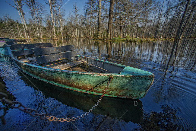 Boat in swamp surrounded by boat