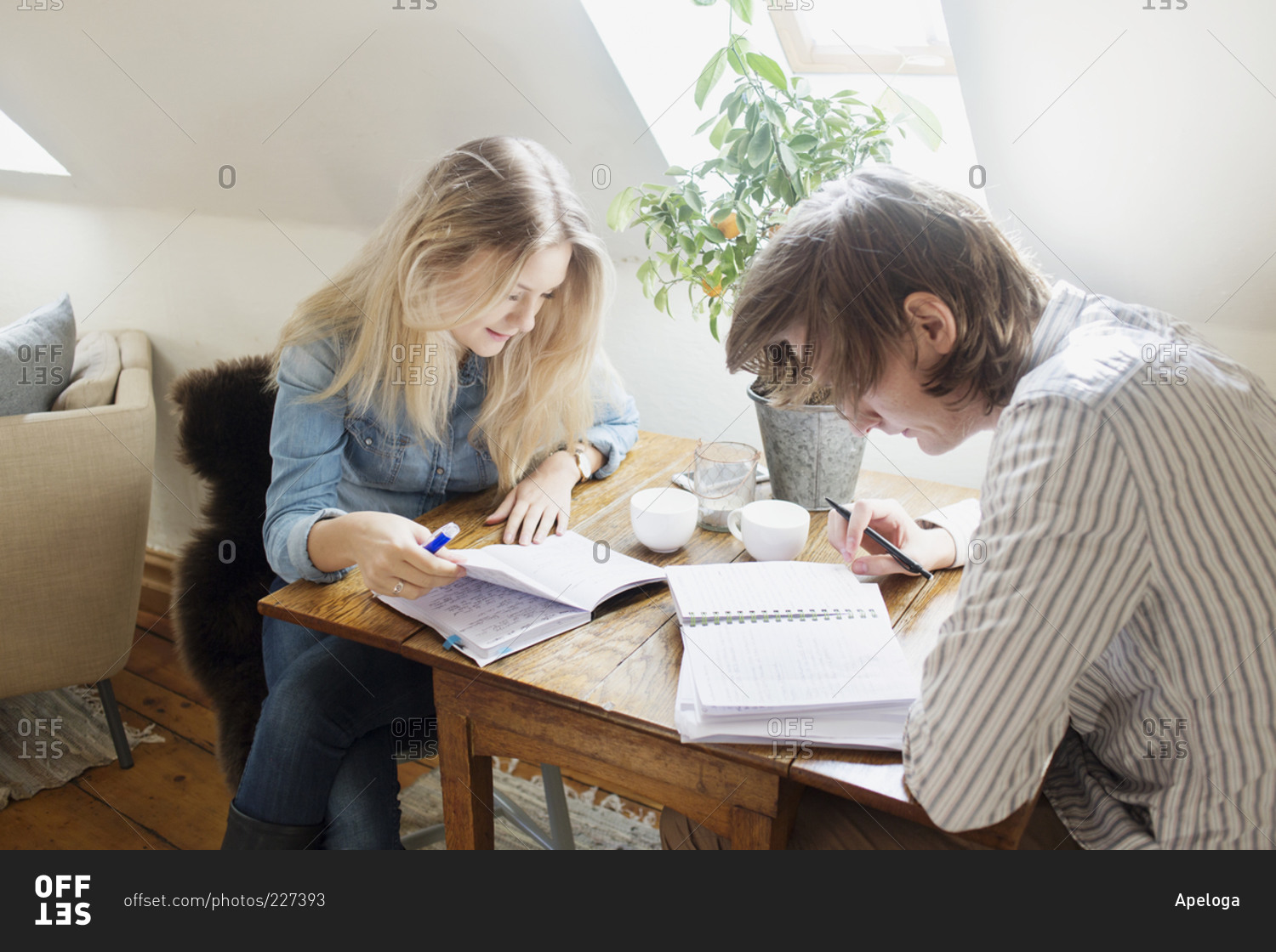 couple studying together