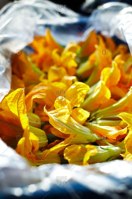 Yellow-orange squash blossoms gathered in bag