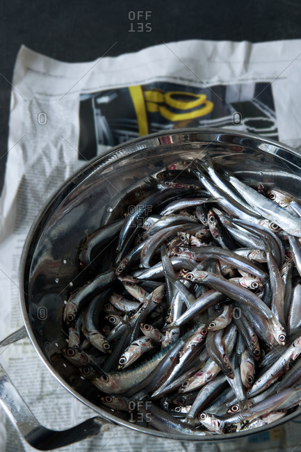 Overhead view of small fish in colander
