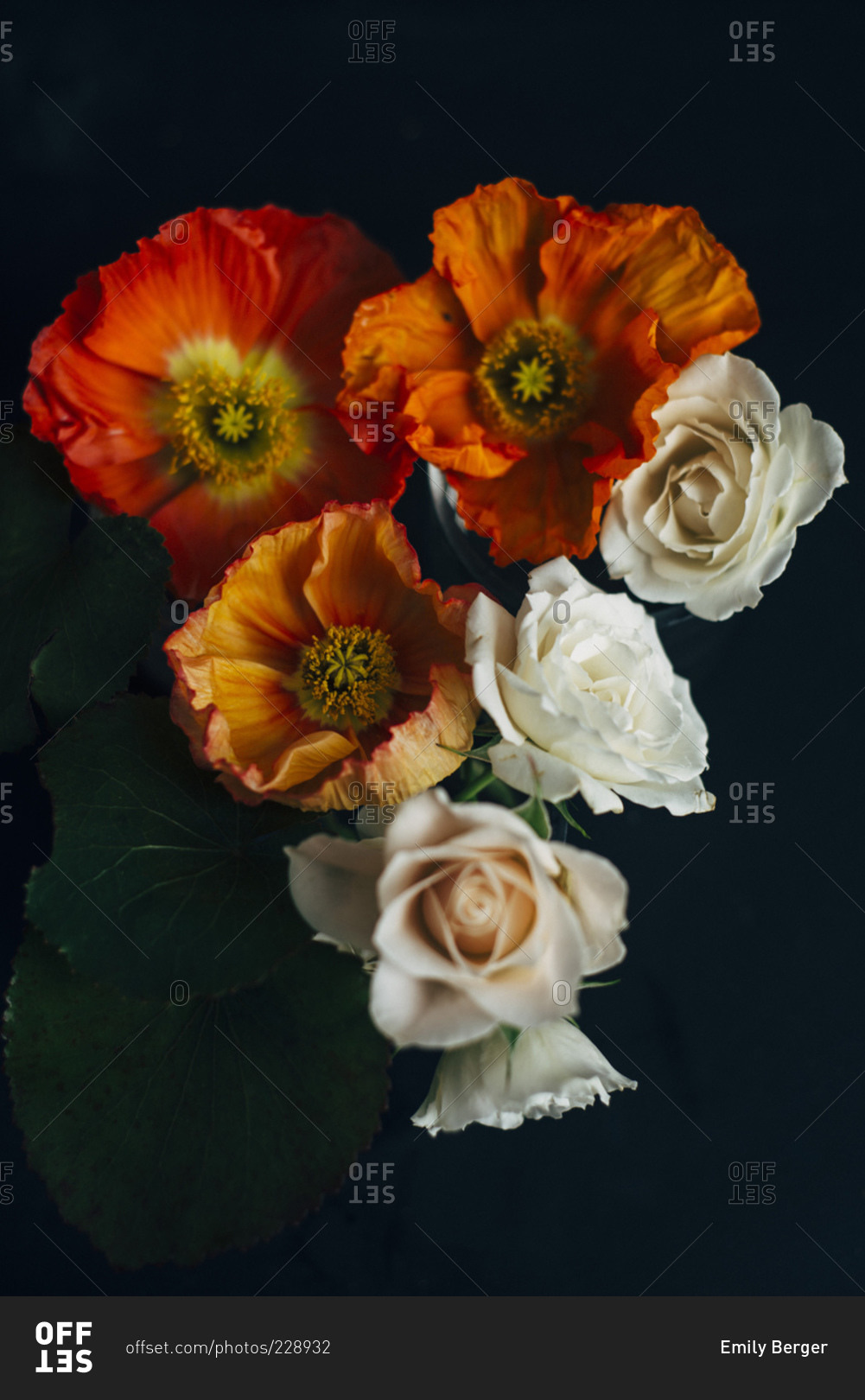 Orange peonies and pale roses