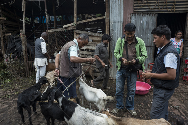 Kathmandu, Nepal - May 27, 2014: Men purchase goats from farmers