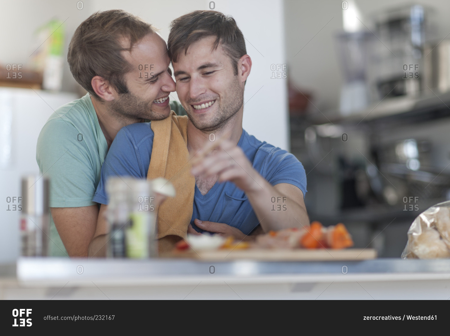 Two Young Guys Are Cooking Gay Couple Healthy Vector Image