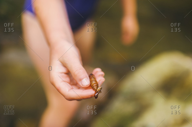 Young girl holding a cocoon in her hands
