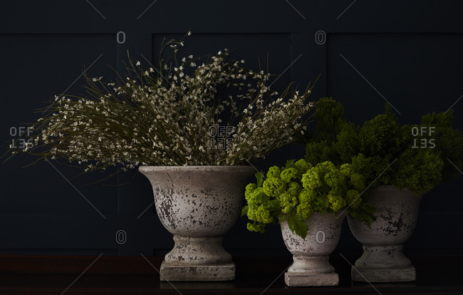 Stone urns with plants - Offset