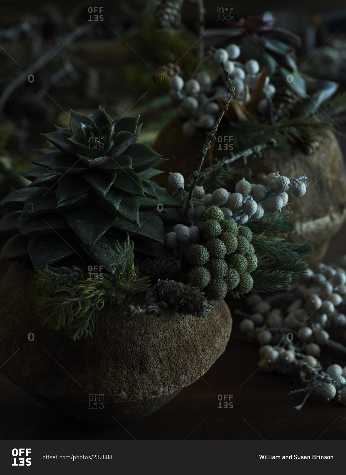 Arrangements of a succulent and various dried floral decorations